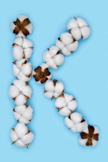 字母字母K图片下载