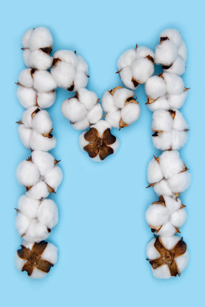 字母字母M图片下载