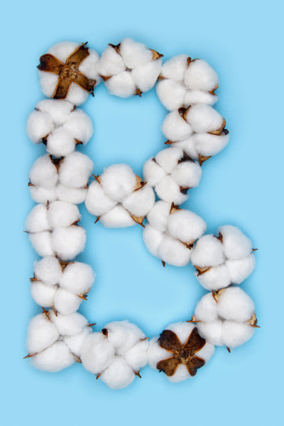 字母字母B图片下载