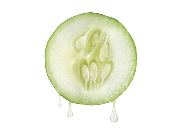 黄瓜片，孤立在白色背景上图片下载