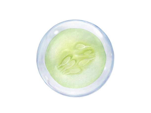 新鲜黄瓜片，在泡沫孤立在白色背景上图片下载