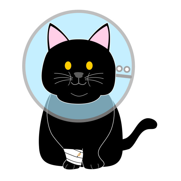 一只戴着伊丽莎白时代项圈的胖黑猫图片下载