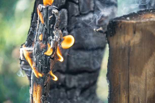 瑞典火炬12图片下载