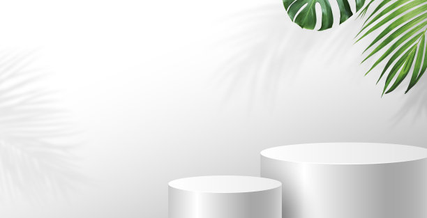 空白的讲台和热带树叶与复制空间在白色背景图片下载