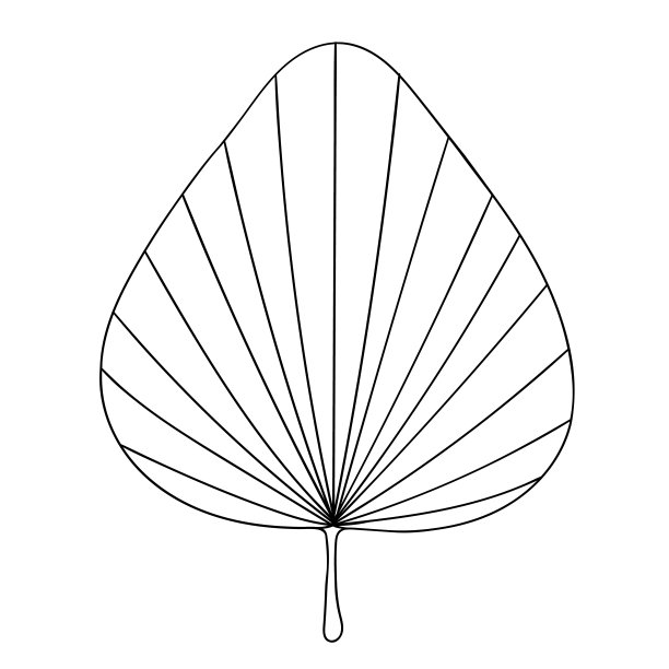 手掌轮廓矢量草图手绘植物插图。热带棕榈剪纸艺术。图片下载
