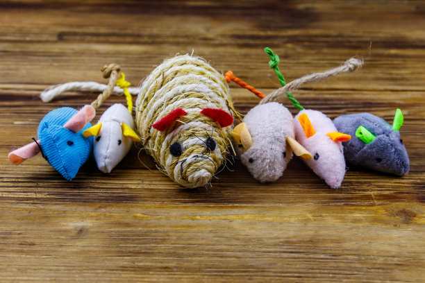 一套老鼠玩具为猫木制背景图片下载