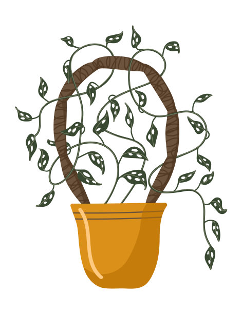 向量孤立的元素。室内植物。蓬莱蕉。花盆中的一朵花。白色背景上的彩色图像。印刷用于包装设计。图片下载