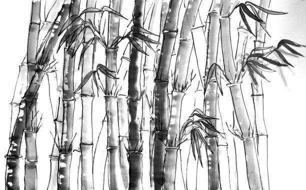 竹林，水墨画图片下载