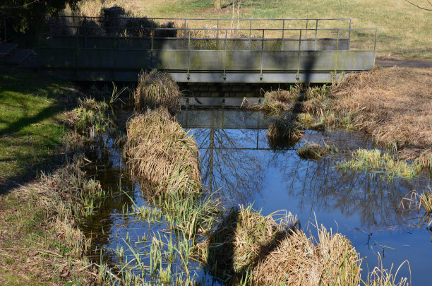 桥由生锈的栅格金属板制成。透明的金属板和由膨胀金属制成的栏杆在一条小溪上。宽阔的公园人行桥横跨沼泽，斜坡上有楼梯图片下载