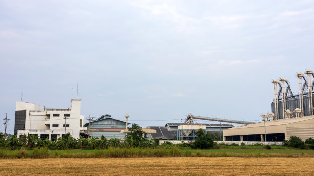 一幢旧厂房被用作蒸米粒的谷仓。图片下载