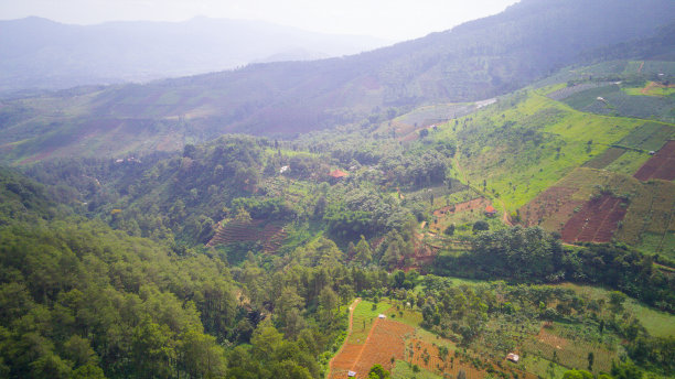 在山岗上慈看仓的照片图片下载