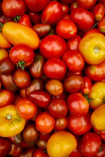 自家种的各种西红柿，各种各样的西红柿，当地的农贸市场图片下载