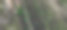 近距离拍摄亚洲热带森林的树干和苔藓景观图片下载