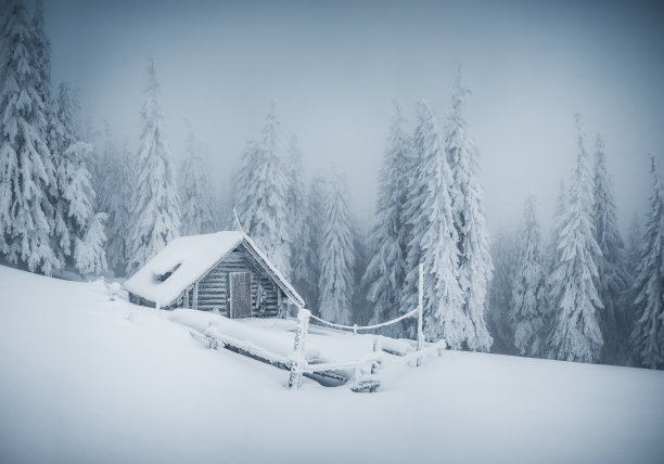 童话森林。喀尔巴阡山，乌克兰，欧洲。图片下载