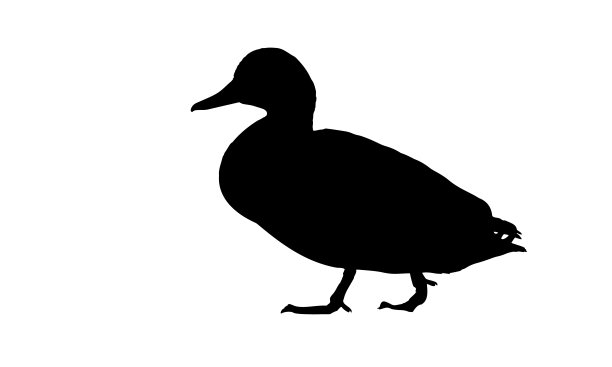 走鸟。矢量图像。白色背景。图片下载