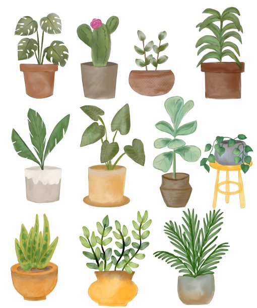 花，树花盆可爱的粉彩水彩画装饰对象装饰请柬。室内室内植物园艺涂鸦平面艺术插图。植物卡通图标设置孤立在白色。图片下载