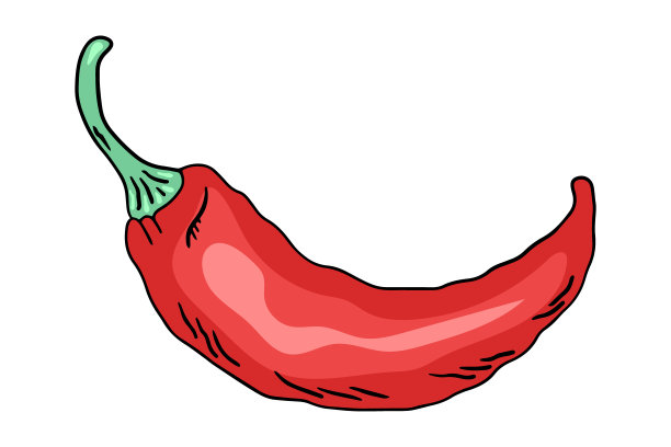 辣椒，一个涂鸦风格的矢量设计元素孤立在白色背景上，手绘图片下载