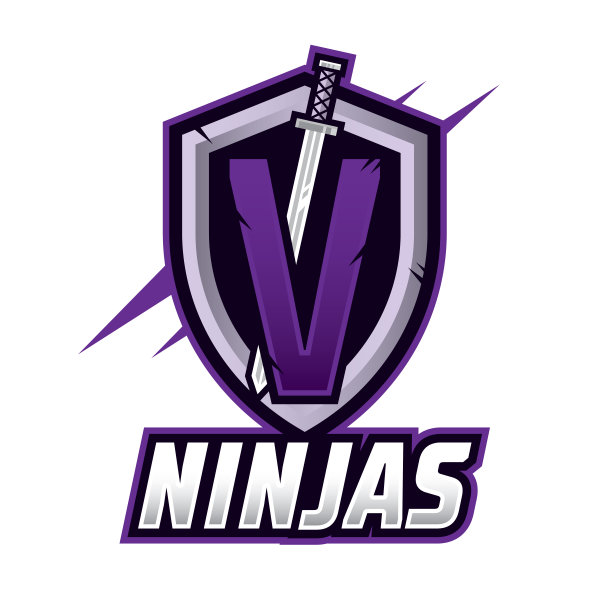 剑与字母Z电子竞技标志插图，盾牌和剑徽章运动标志设计。战士徽章矢量插图。图片下载