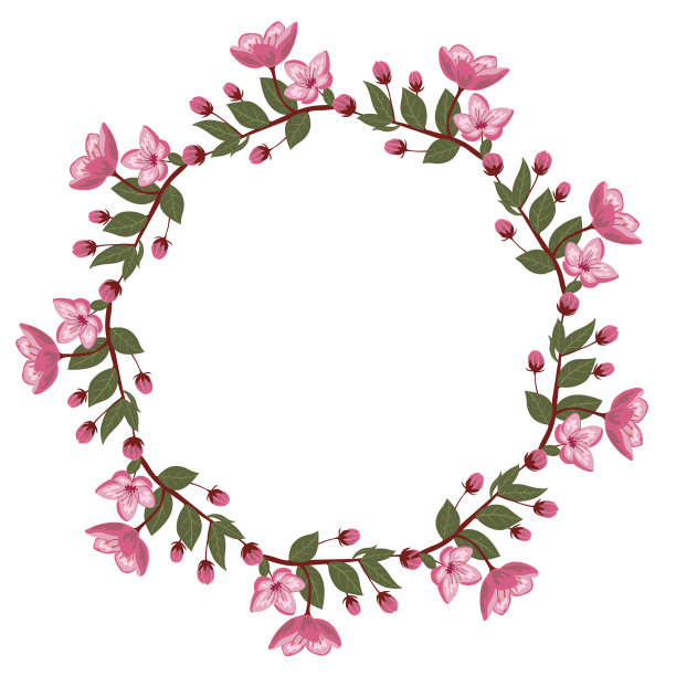 可爱的春天樱花向量帧插图图片下载