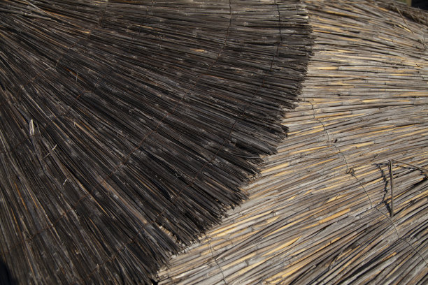 柳条木材纹理背景图片下载