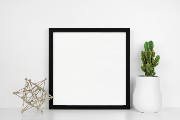 用现代家居装饰模拟黑色方形框架，并在白色墙壁的白色架子上种植图片下载