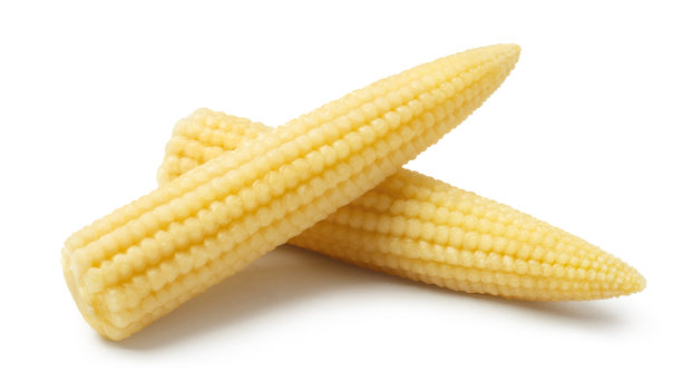 美味的白玉米图片下载