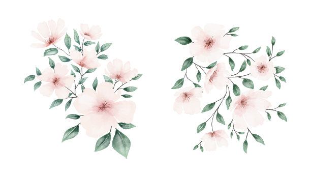 水彩淡粉色鲜花花束集合矢量设计图片下载