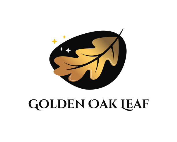 金色的橡树叶里面黑色的弧形几何图案上闪烁着星星图片下载