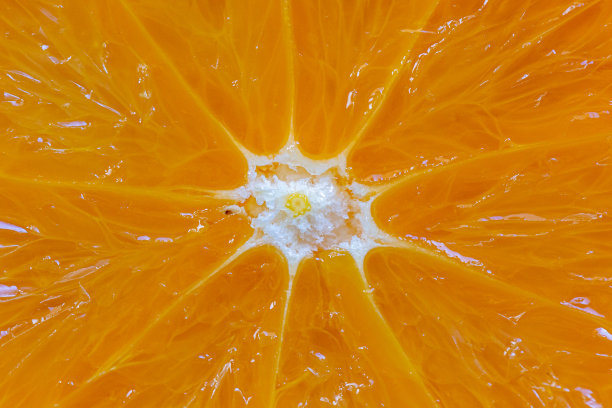 看着切好的橘子的特写镜头图片下载