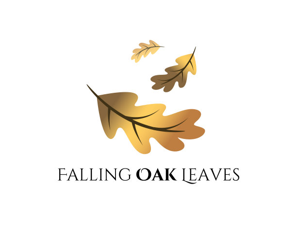 秋天金色的橡树叶图片下载