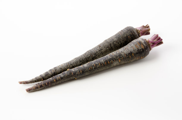 黑色胡萝卜在白色的背景图片下载