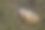 磨损的工作手套穿过草地图片下载
