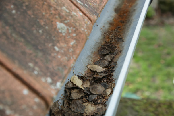 满是落叶和泥土的水沟。图片下载
