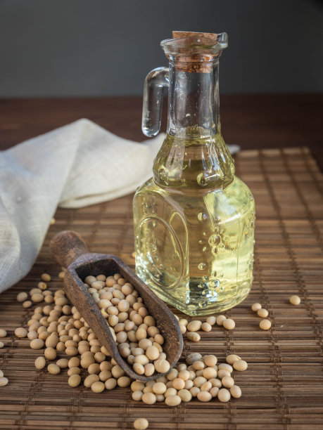 生大豆及豆制品:豆油。替代蛋白质。素食产品。图片下载