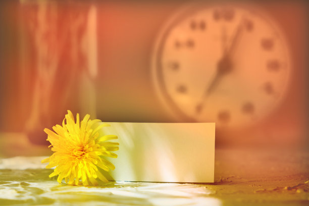 模糊舒适的夏天静物与花和闹钟在桌子上。在家里。乡村风格，慵懒的周末。老式雾霾过滤器。空白贺卡的文本图片下载