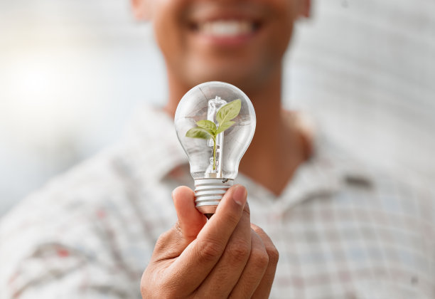 一个不认识的人拿着一个灯泡的特写镜头，里面长着一棵植物图片下载