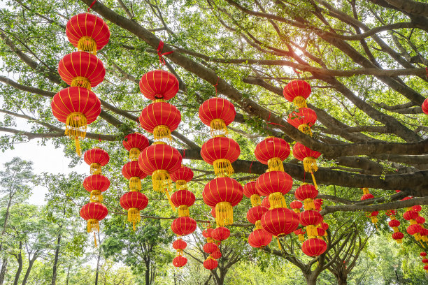 中国传统装饰灯笼图片下载