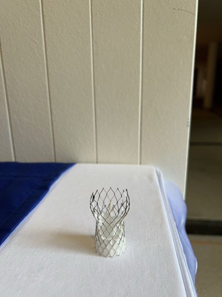 血管内动脉瘤修补术(evar)的教育模型。图片下载