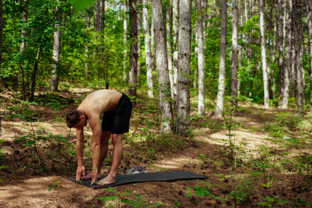 人们在森林里运动前要做伸展运动图片下载