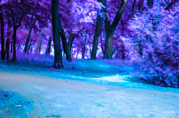 艺术写实色调的插图夏季公园与大量的树和草在阳光明媚的晴朗的日子图片下载