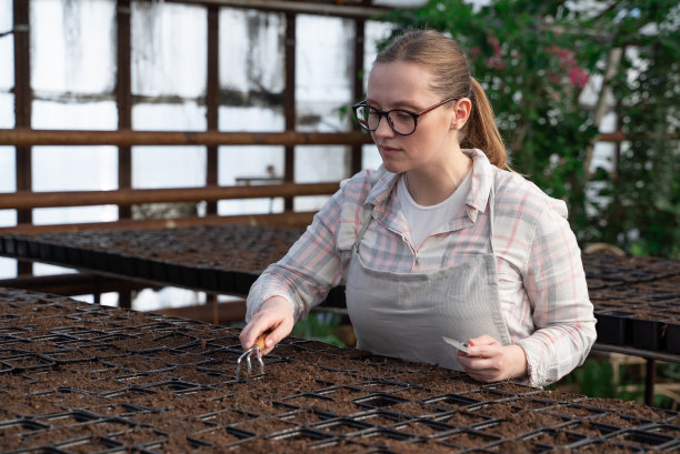 一名年轻女子站在大温室里的桌子旁，手里拿着耙子和铁锹。园艺、苗、销售图片下载