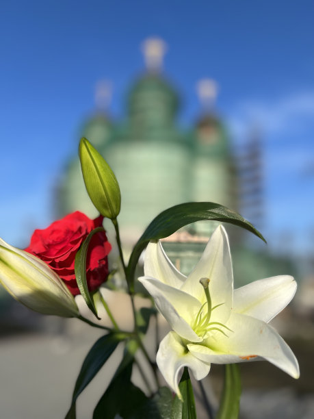 白色百合和红色玫瑰的东正教教堂图片下载