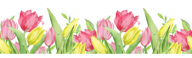 水彩无缝边界的粉红色和黄色郁金香和绿色的叶子。复活节的边界。图片下载
