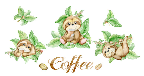 树懒是动物，树枝和咖啡豆，文字。在孤立的背景上的一套水彩剪贴画。在卡通风格。图片下载