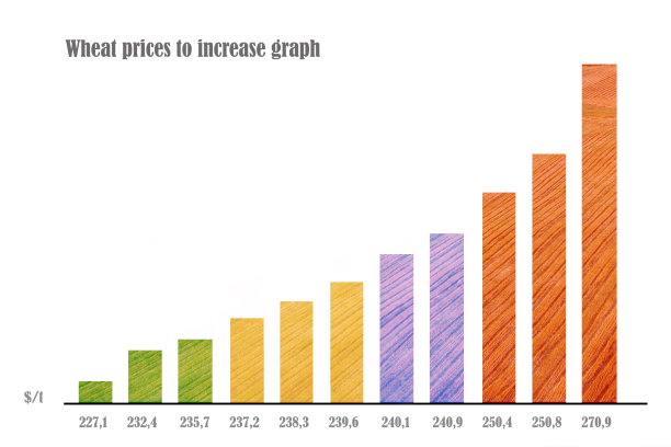小麦种植价格分析图片下载