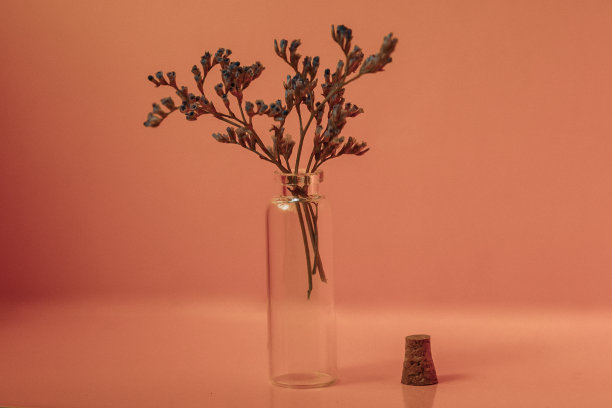 玻璃花瓶里的花束，黄色背景上的干花枝，室内装饰和静物画图片下载