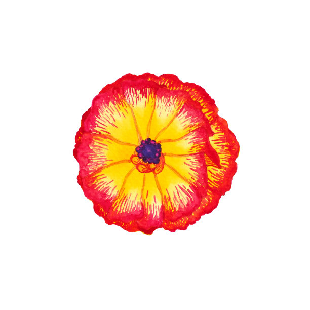 红花异国情调的热带花卉叶绿色自然自然的园林植物叶水彩画树屋植物插图设计背景装饰艺术图案图片下载