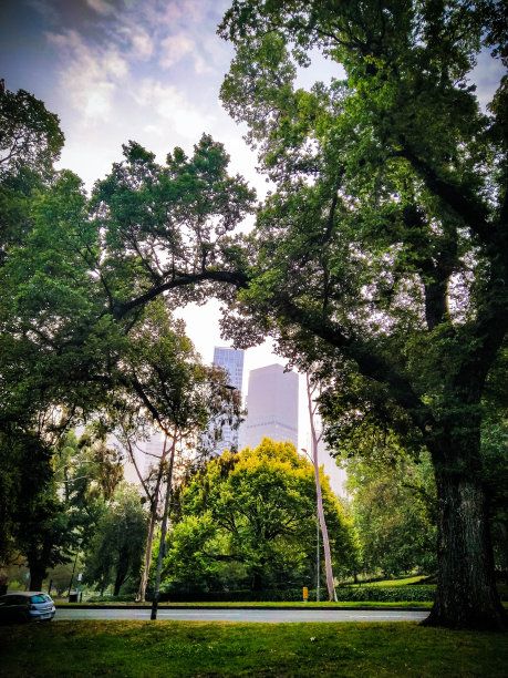 墨尔本中心公园的景色图片下载