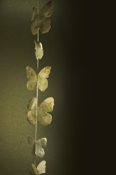 纸蝴蝶挂在一根细绳子上，背景是棕色的图片下载