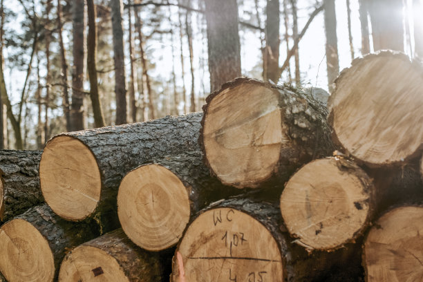 堆栈的木材图片下载